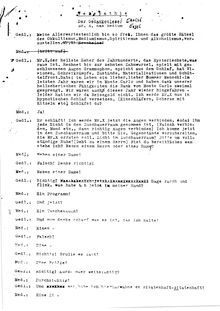 Total Verrückt script page 23